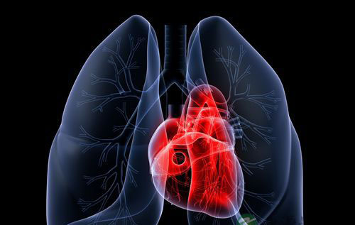 有小儿心肌炎怎么办? 有小儿心肌炎怎么办?