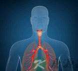 病毒性支气管炎症状