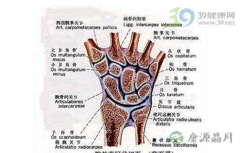 鼠标手图片