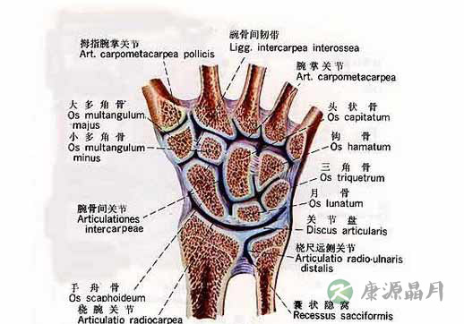 假期中小学生频现鼠标手