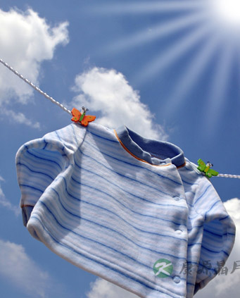 如果我们得了天花怎么办? 如果我们得了天花怎么办?