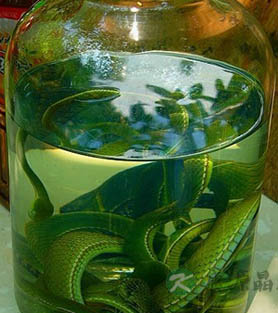 趣谈蛇酒的来历与药用价值