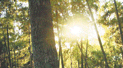 肝硬化生活调理“三必备”