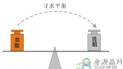 平衡血脂 远离肾损伤