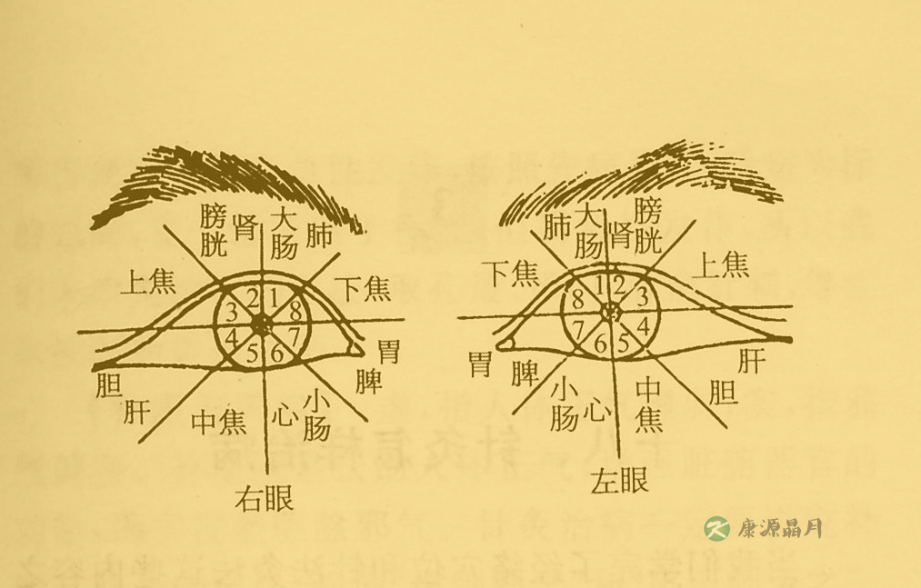 眼针法 眼针法