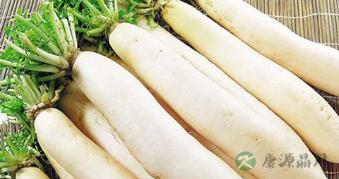 高血压老人吃什么食物