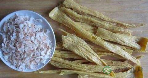 老年人饮食调理