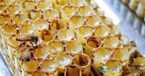 老人经常吃蜂王浆有什么好处
