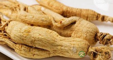 老年人怎么吃人参