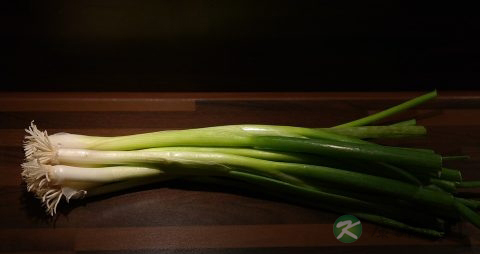 生病老人的食潽