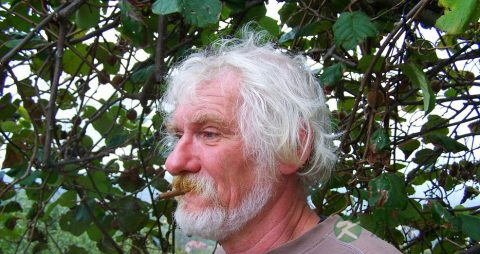 老人吃鹿鞭的好处