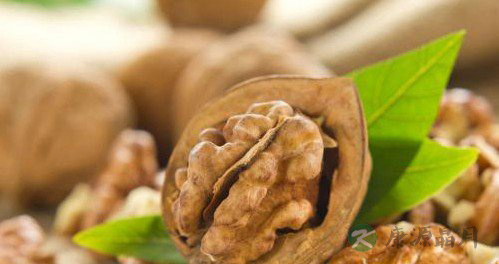 老年人吃什么菜比较好