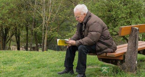 老人白发变黑的原因
