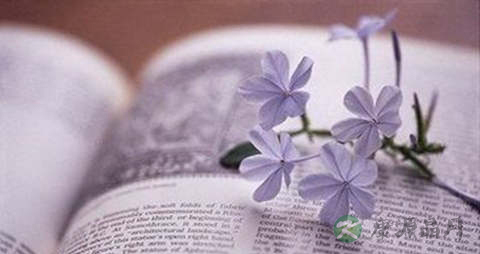 肥胖纹是什么原因