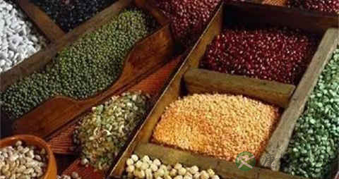 营养不良性水肿吃什么药