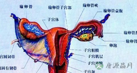 女性附件炎针灸有效吗