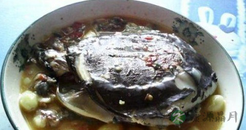 艾滋病患者的食疗方