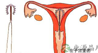 超高清！女人阴部真实构造图解