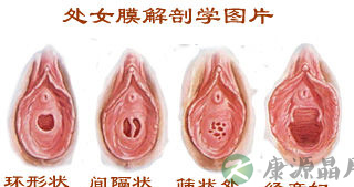 史上最震撼的女性生殖器真实图片