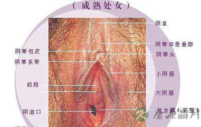 史上最震撼的女性生殖器真实图片