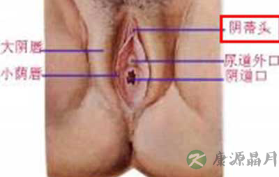 史上最震撼的女性生殖器真实图片