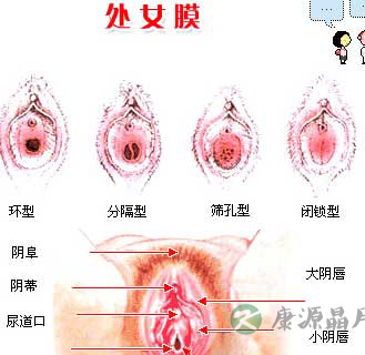 史上最震撼的女性生殖器真实图片