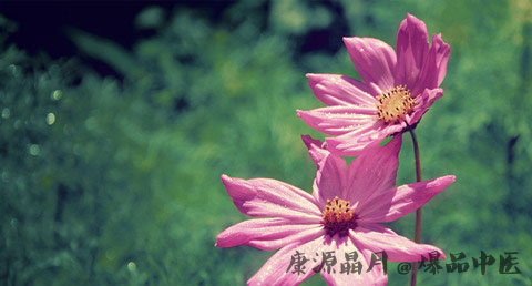 劳动节是几月几日