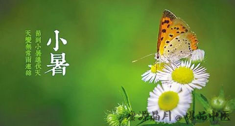 二十四节气中的小暑是几月几日