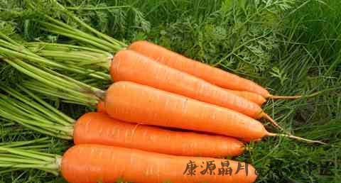 立秋吃什么减肥