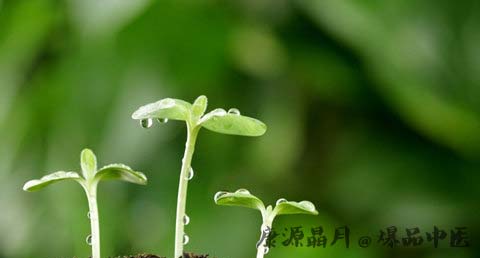 谷雨节气会下雨吗