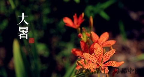 大暑天的饮食禁忌
