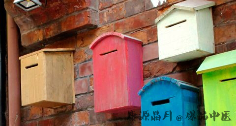 上海年初一去哪玩