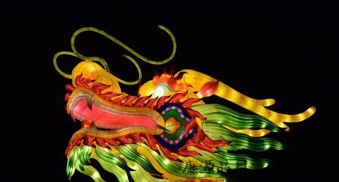 舞龙为什么成为中华民族传统文化