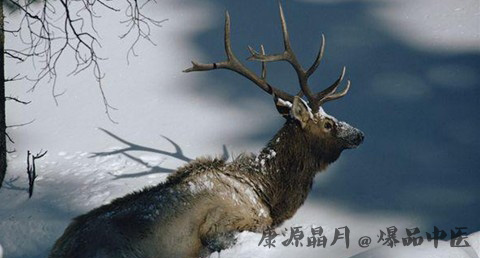 大雪节气温度是多少