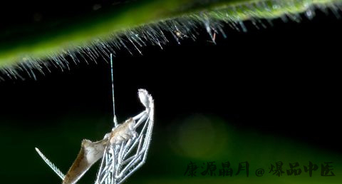 24节气中惊蛰的含义