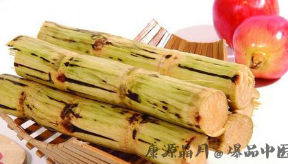 秋分吃什么预防秋燥？首选12种食物