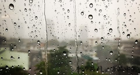 谷雨节气如何防病
