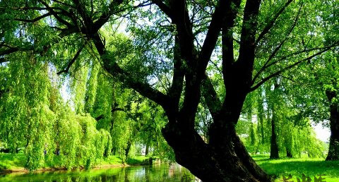 立春节气的养生法则