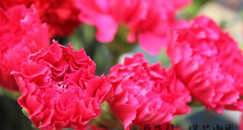 2016教师节是几月几号