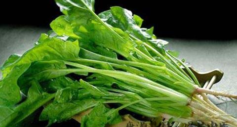 立春节气养生食谱