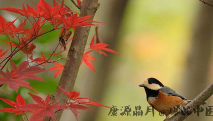 2014寒露是什么时候？天气还热吗