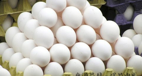 雨水节气是什么意思