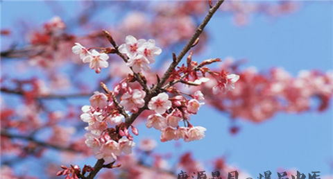 51劳动节的意义