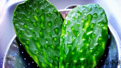 小满节气吃什么 推荐九种苦味菜