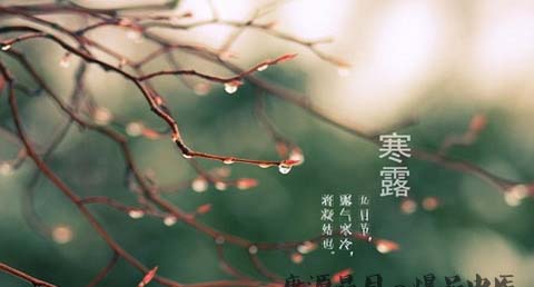 寒露节气的习俗