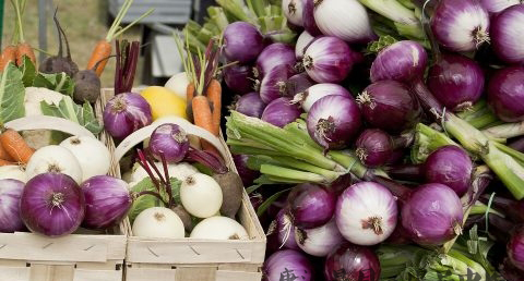 各地过年吃什么