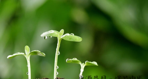 今年夏至的具体时间