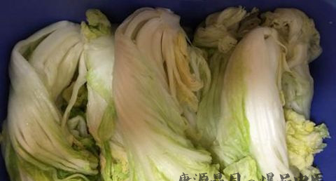 腌制冬至白菜的方法