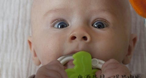 鸡年宝宝起名大全