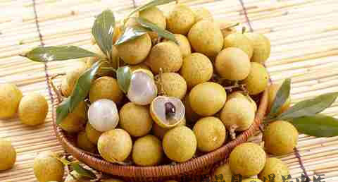 白露养生吃什么水果